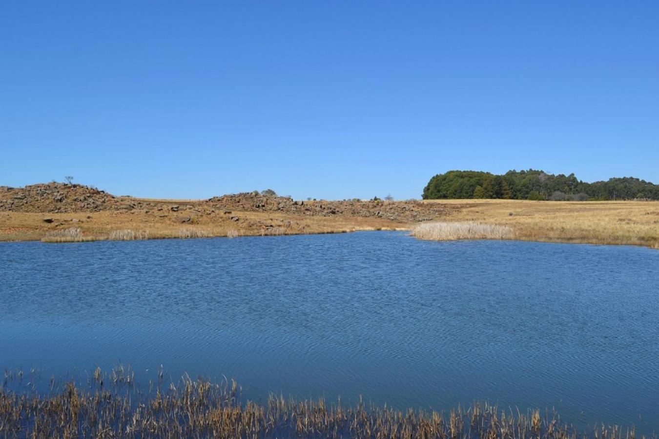 Dabchick Cottage 덜스트룸 외부 사진